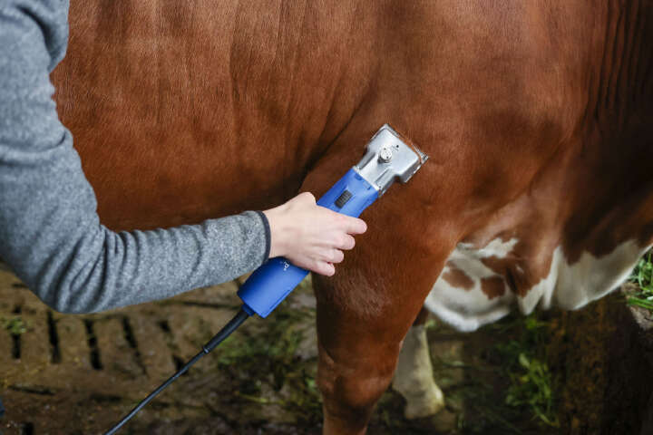 AESCULAP Schermaschine Econom II für Rinder und Pferde